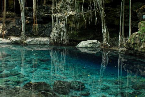  Cenotes Dos Ojos:  A Mystical Plunge into Ancient Mayan Waters!