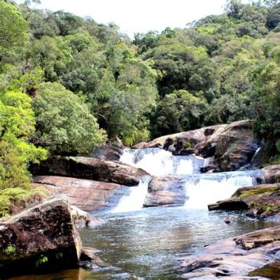  Parque Estadual da Serra do Mar: สัมผัสธรรมชาติอันเขียวชอุ่มและน้ำตกสุดตระการตา!